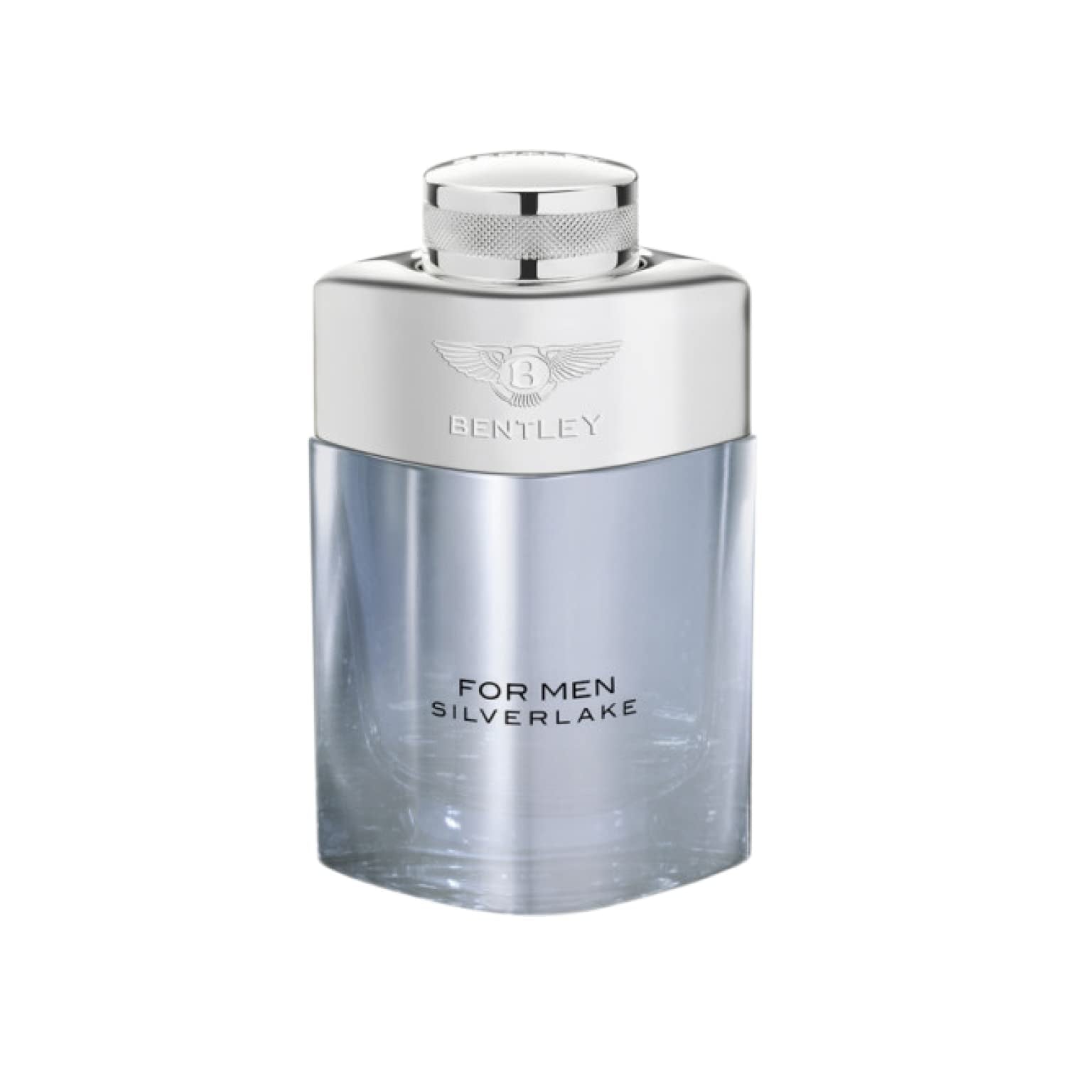 Silverlake for Men Eau De Parfum Spray, 3.4 Ounce